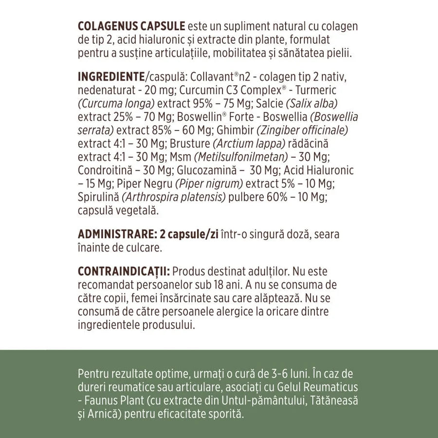 Colagen tip 2 Colagenus, 60 capsule, Faunus Plant