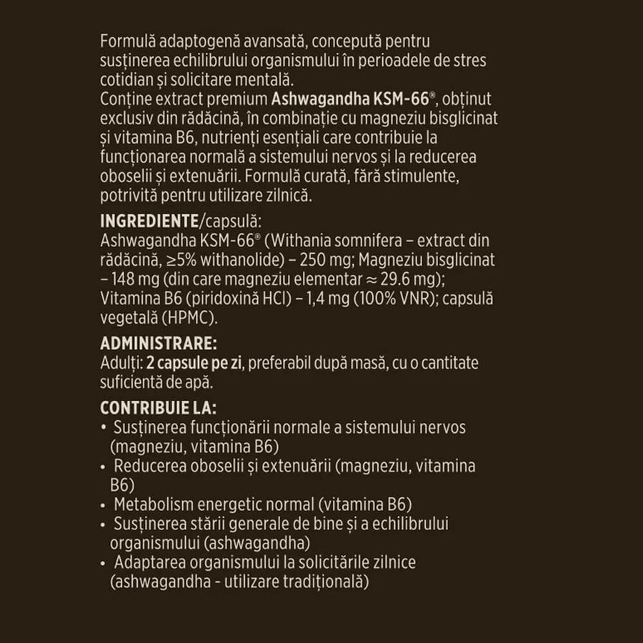 Ashwagandha KSM-66® + Magneziu Bisglicinat + Vit B6, 60 capsule, Faunus Plant