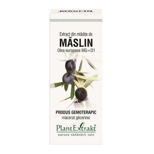 Extract din mladite de maslin, 50ml, PlantExtrakt