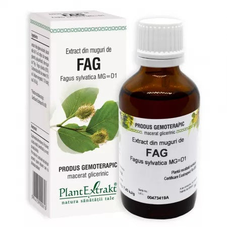 Extract din muguri de fag, 50ml, PlantExtrakt
