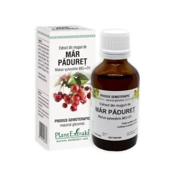 Extract din muguri de mar paduret, 50ml, PlantExtrakt