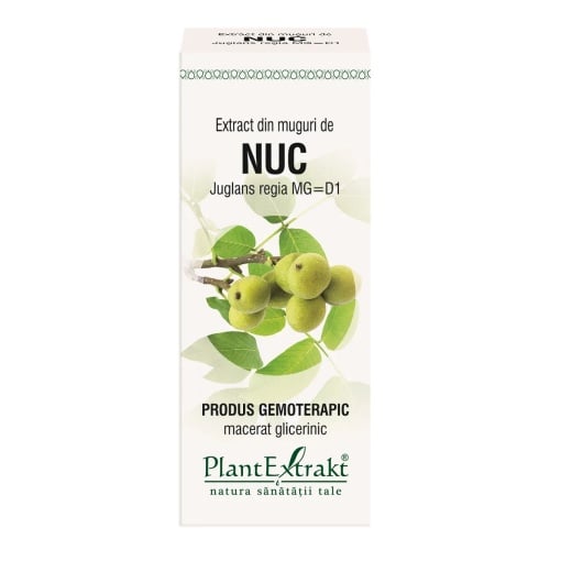 Extract din muguri de Nuc, 50ml, PlantExtrakt