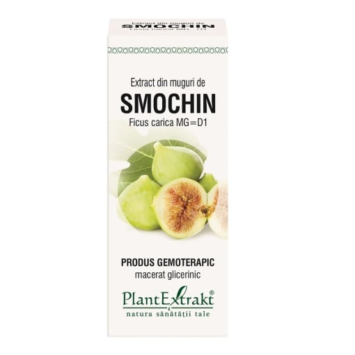 Extract din muguri de Smochin, 50ml, PlantExtrakt