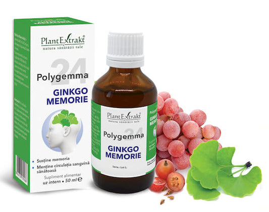 Polygemma 24, Ginkgo Memorie, 50ml, PlantExtrakt