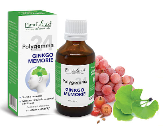 Polygemma 24, Ginkgo Memorie, 50ml, PlantExtrakt