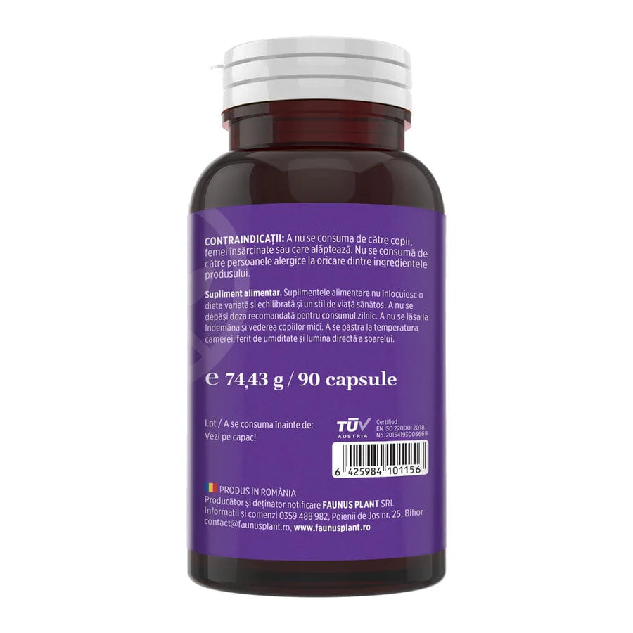 Magneziu Bisglicinat + Vitamina B6, 90 Capsule, Faunus Plant