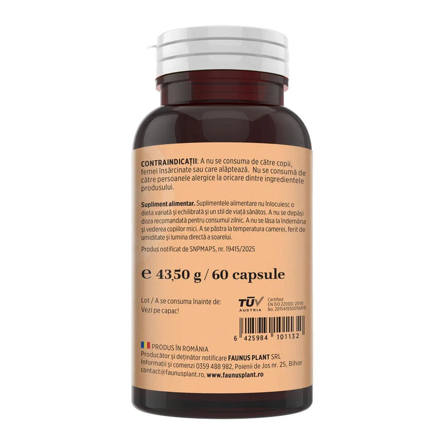 Turmeric cu Piperina, 60 capsule, Faunus Plant