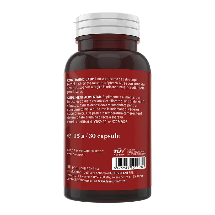 Vitamina B12, 30 capsule, Faunus Plant