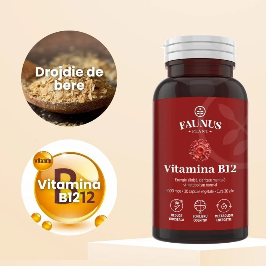 Vitamina B12, 30 capsule, Faunus Plant
