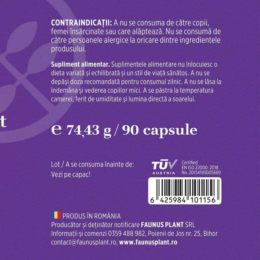Magneziu Bisglicinat + Vitamina B6, 90 Capsule, Faunus Plant