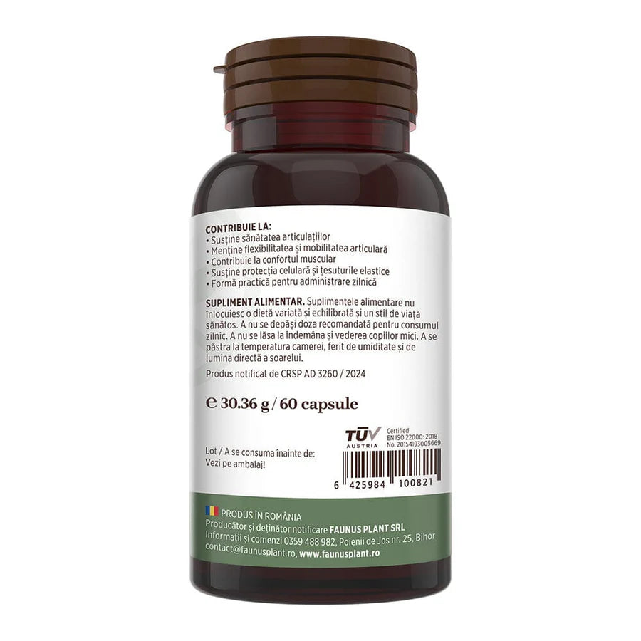 Colagen tip 2 Colagenus, 60 capsule, Faunus Plant