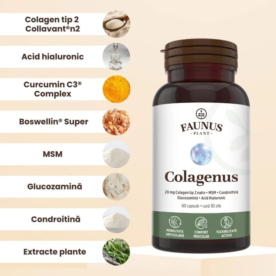 Colagen tip 2 Colagenus, 60 capsule, Faunus Plant