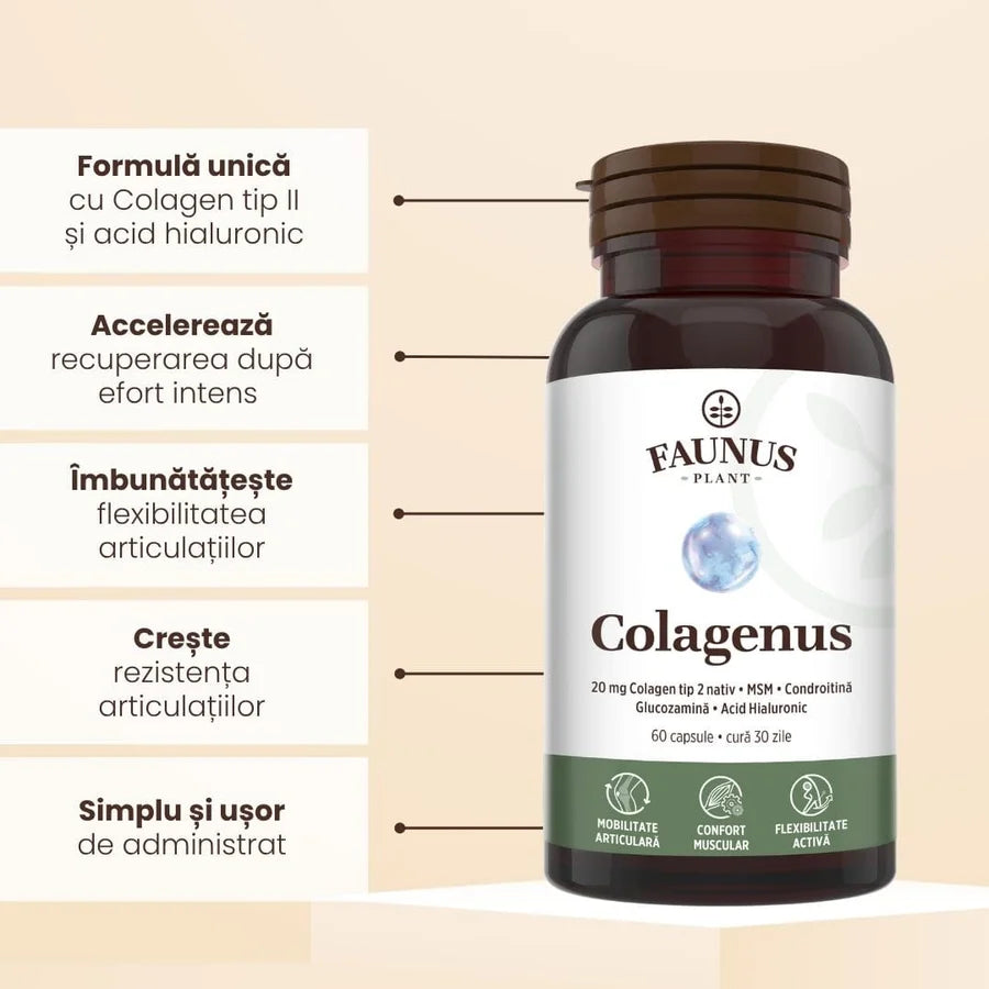 Colagen tip 2 Colagenus, 60 capsule, Faunus Plant