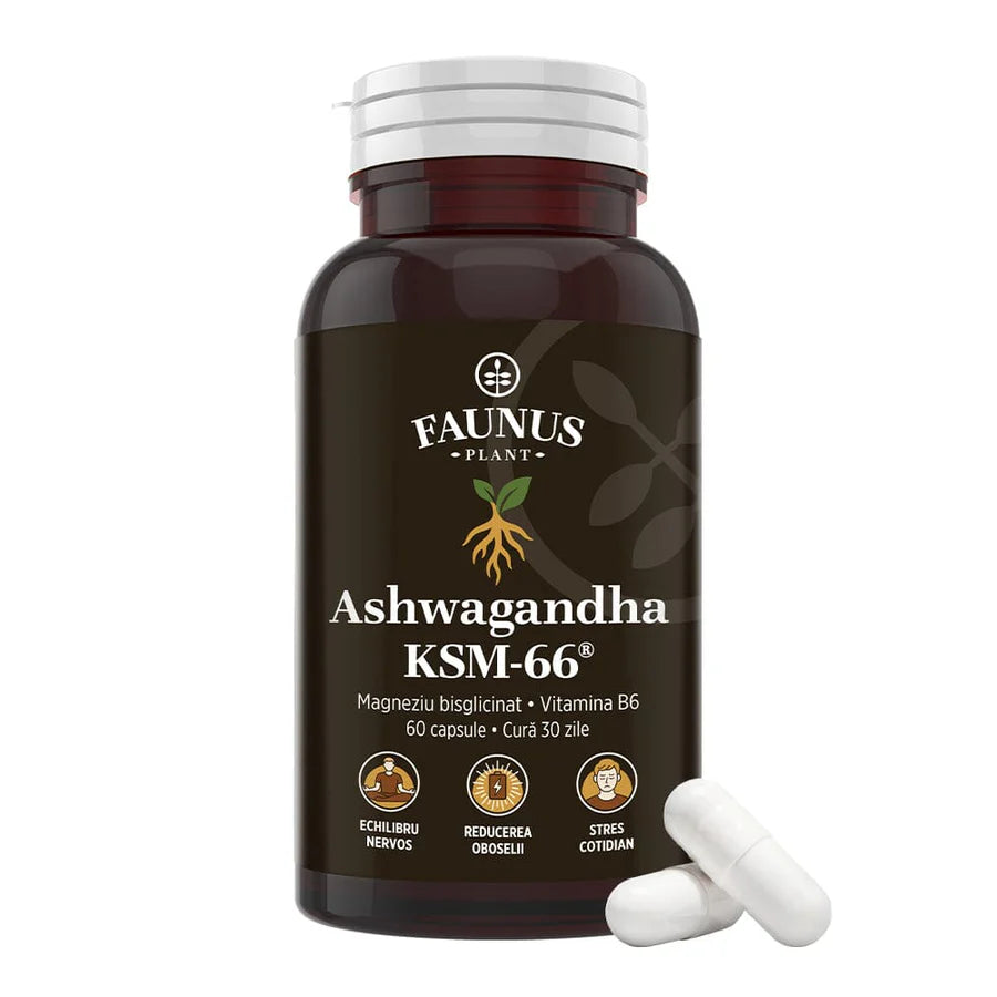 Ashwagandha KSM-66® + Magneziu Bisglicinat + Vit B6, 60 capsule, Faunus Plant