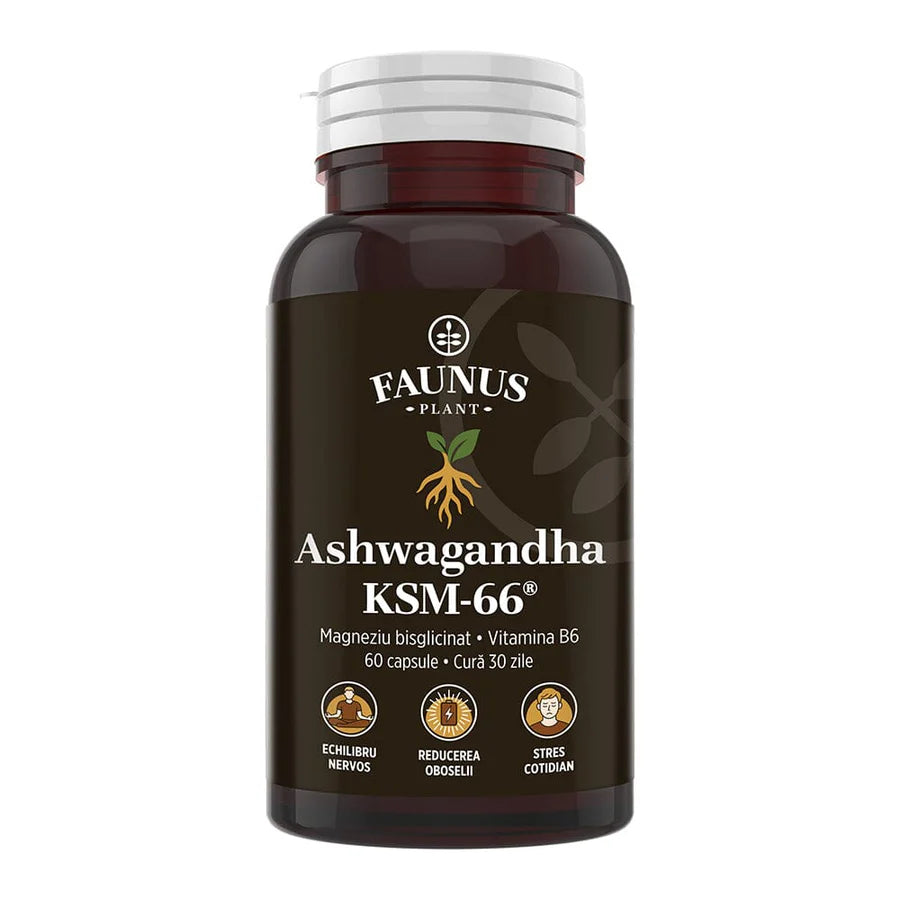 Ashwagandha KSM-66® + Magneziu Bisglicinat + Vit B6, 60 capsule, Faunus Plant