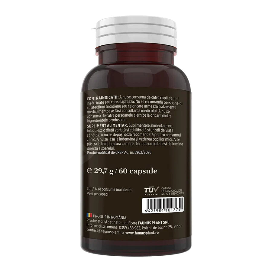 Ashwagandha KSM-66® + Magneziu Bisglicinat + Vit B6, 60 capsule, Faunus Plant