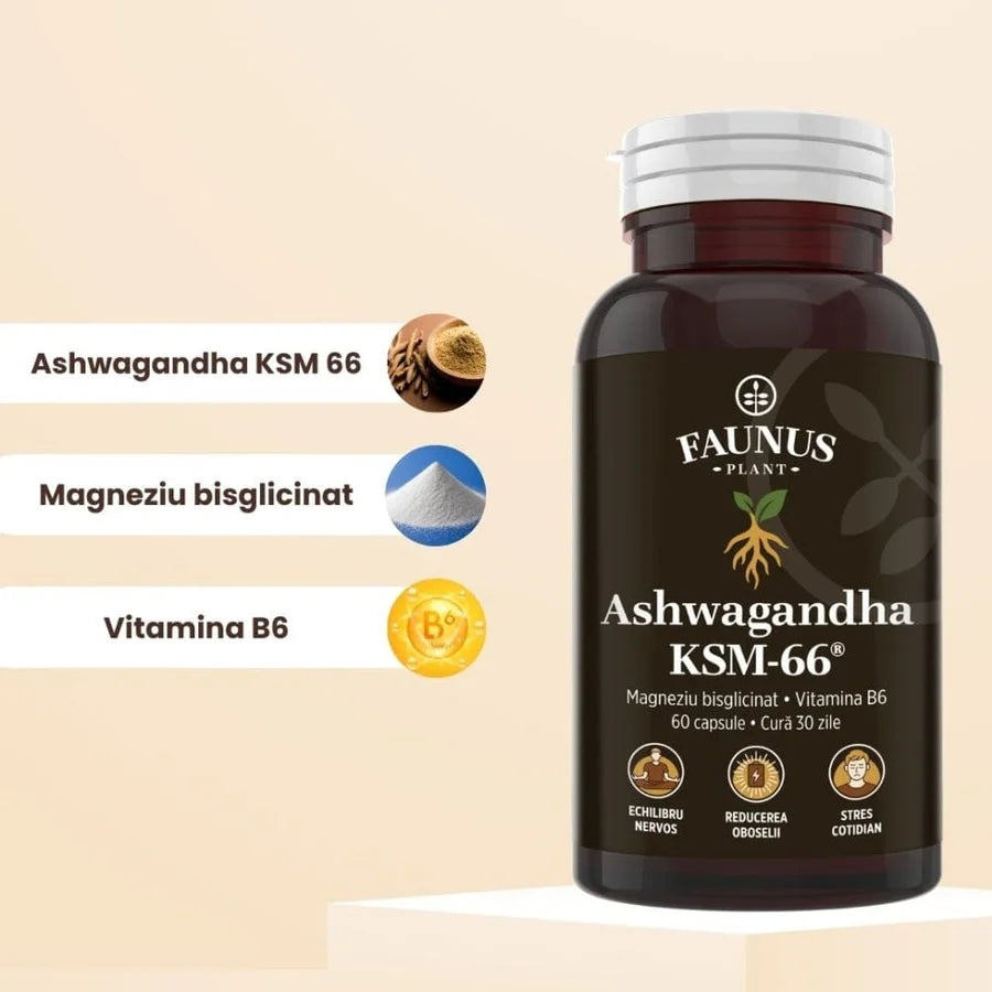 Ashwagandha KSM-66® + Magneziu Bisglicinat + Vit B6, 60 capsule, Faunus Plant