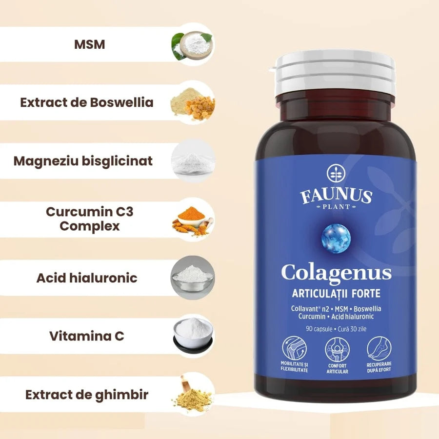 Colagenus Articulatii Forte, 90 capsule, Faunus Plant