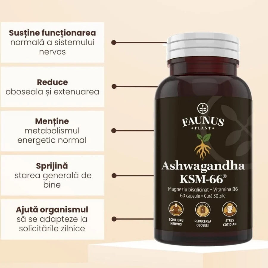 Ashwagandha KSM-66® + Magneziu Bisglicinat + Vit B6, 60 capsule, Faunus Plant