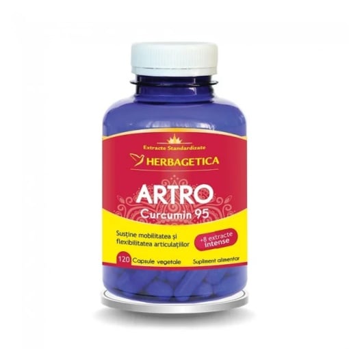 Artro+ Curcumin95, 120 capsule, Herbagetica