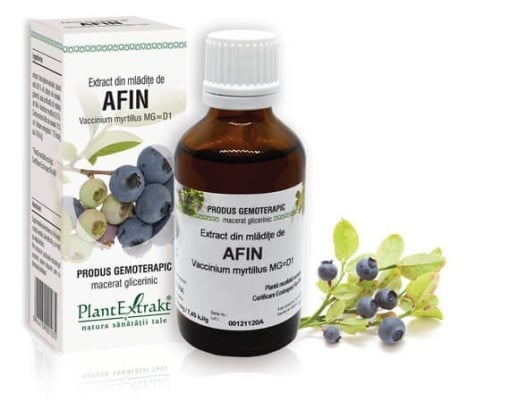 Extract din mladite de Afin, 50ml, PlantExtrakt