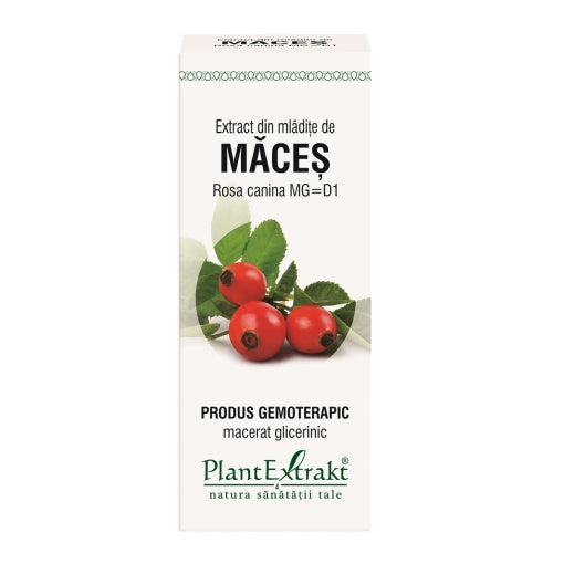 Extract din mladite de maces, 50ml, PlantExtrakt
