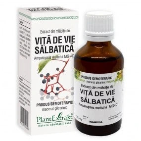 Extract din mladite de vita de vie salbatica, 50ml, PlantExtrakt