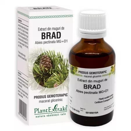 Extract din muguri de Brad, 50ml, PlantExtrakt