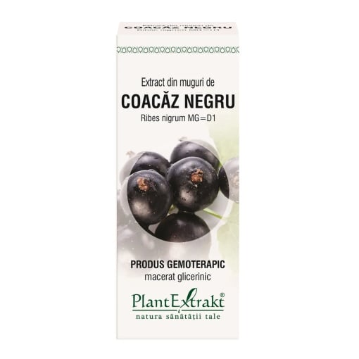 Extract din muguri de Coacaz Negru, 50ml, PlantExtrakt