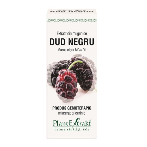 Extract din muguri de Dud Negru, 50ml, PlantExtrakt