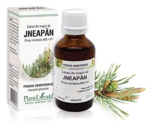 Extract din muguri de Jneapan, 50ml, PlantExtrakt