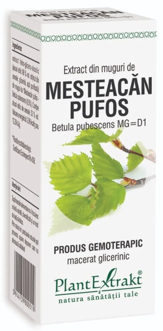 Extract din muguri de Mesteacan Pufos, 50ml, PlantExtrakt