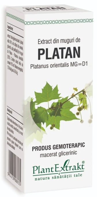 Extract din muguri de Platan, 50ml, PlantExtrakt