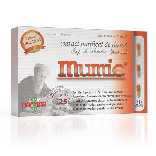 Extract purificat de rasina Mumie, 30 capsule, Damar General...