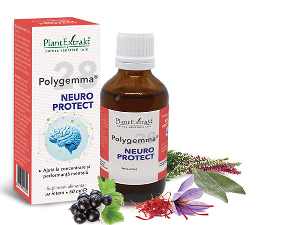 Polygemma 28 Neuro Protect, 50ml, PlantExtrakt