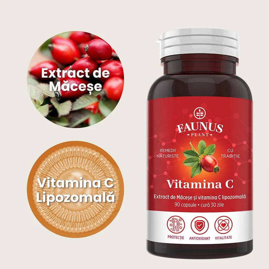 Vitamina C lipozomala, 90 capsule, Faunus Plant