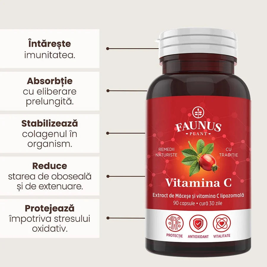 Vitamina C lipozomala, 90 capsule, Faunus Plant