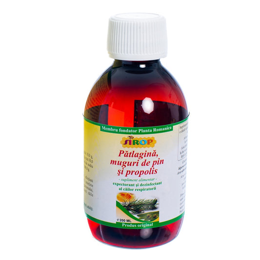 Sirop muguri de pin cu patlagina si propolis, 200 ml, Elidor