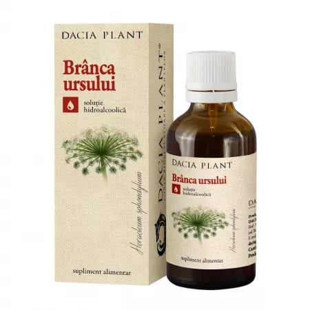 Tinctura Branca ursului, 50 ml, Dacia Plant