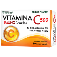 Vitamina C 500 Imuno Complex